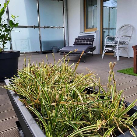 Miodowy Dom Exspanse Apartament 2 Lub 3 Pokoje Z Tarasem I Parkingiem 科沃布热格 外观 照片